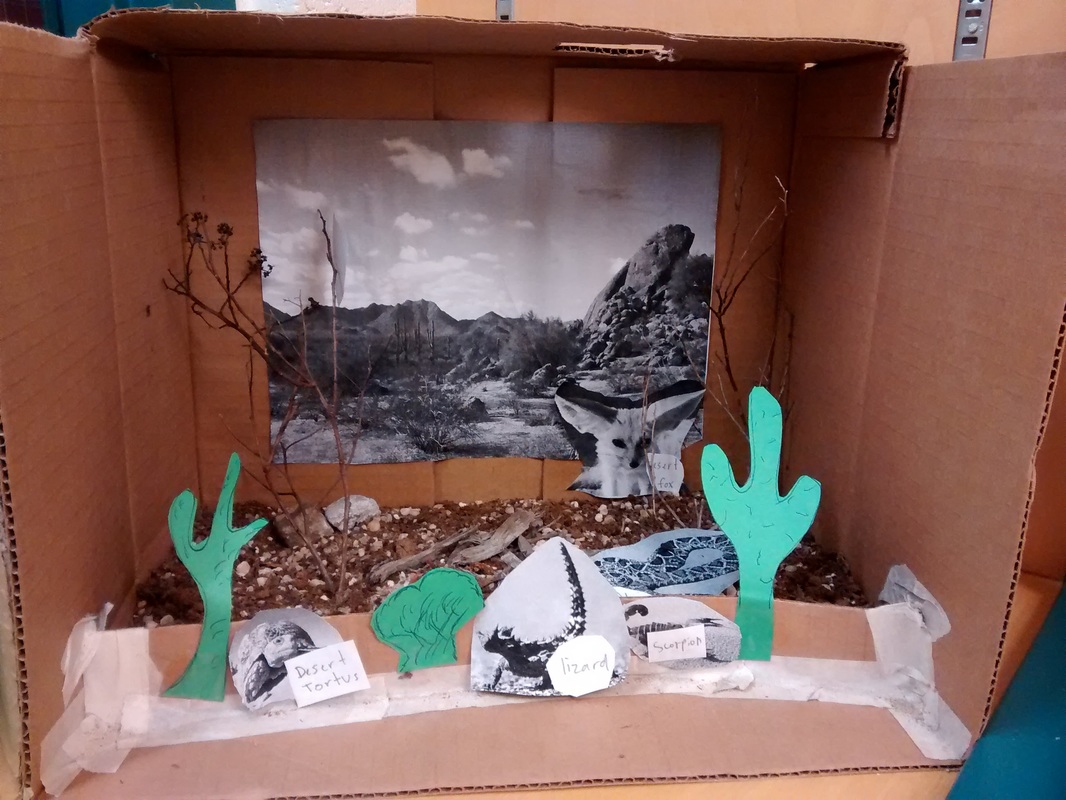 desert biome project in a box